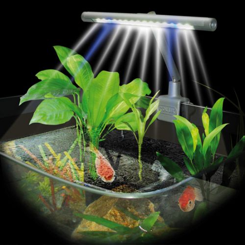 ECLAIRAGE LED POUR AQUARIUM  ECLAIRAGE LED NANOLUX SILVER 3W