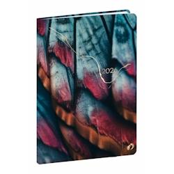 QUO VADIS affaires fr hipsy papillon - 0041485q_0