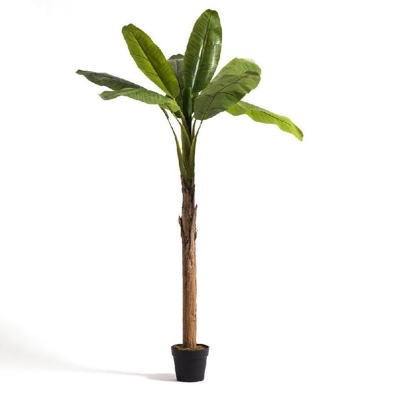 Bananier artificiel dans pot H 200 cm_0