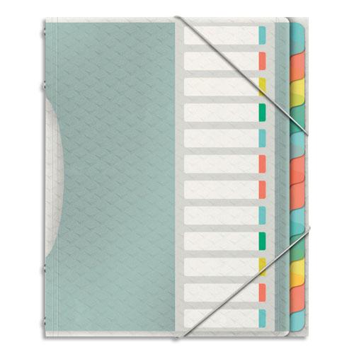 TRIEUR ESSELTE COLOUR'ICE - POLYPROPYLENE 6/10EME - 12 COMPARTIMENTS - COLORIS ASSORTIS - LOT DE 12