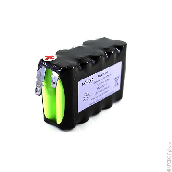 BATTERIE NIMH FBAT1200 12V 2.5AH_0