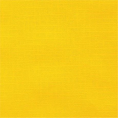 NAPPE PLIAGE M 50 G/M² 80X120 CM JAUNE SOLEIL CELLULOSE (VENDU PAR 200)