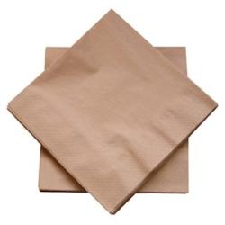 Serviettes de table 2 plis pure ouate - couleur noix  - 40 x 40 cm - x 100 - DSTOCK60 - 03701431308976_0