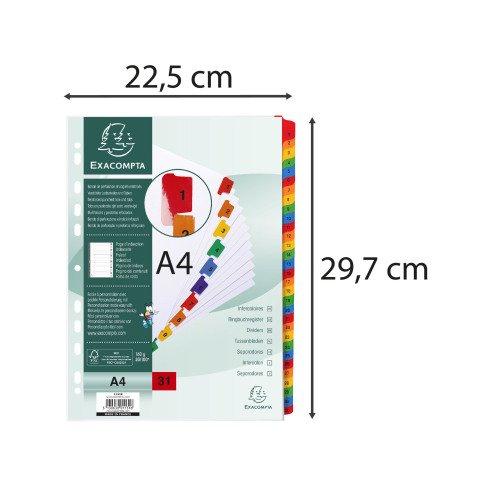 LOT DE 2 - INTERCALAIRE A4 CARTE BRISTOL BLANCHE EXACOMPTA 31 POSITIONS NUMÉRIQUES MULTICOLORES - 1 JEU