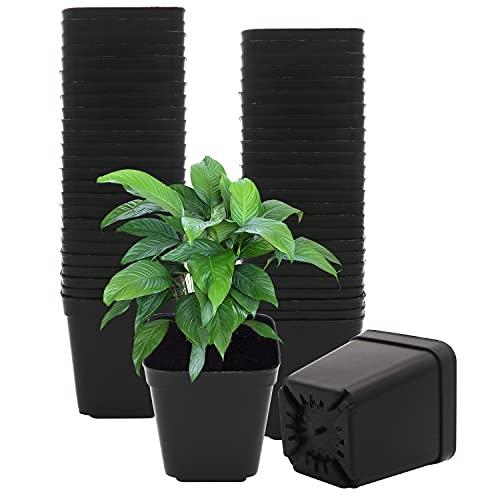 Lot de 50 pots de fleurs carrés en plastique noir - 7 cm - Polypropylène durable et réutilisable_0