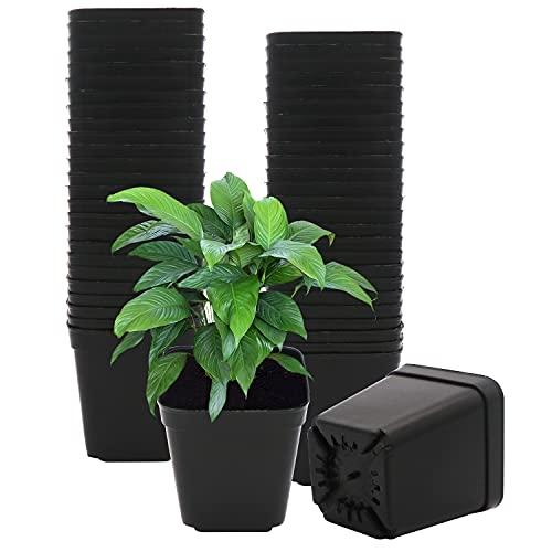 LOT DE 50 POTS DE FLEURS CARRÉS EN PLASTIQUE NOIR 7 CM U/N_0