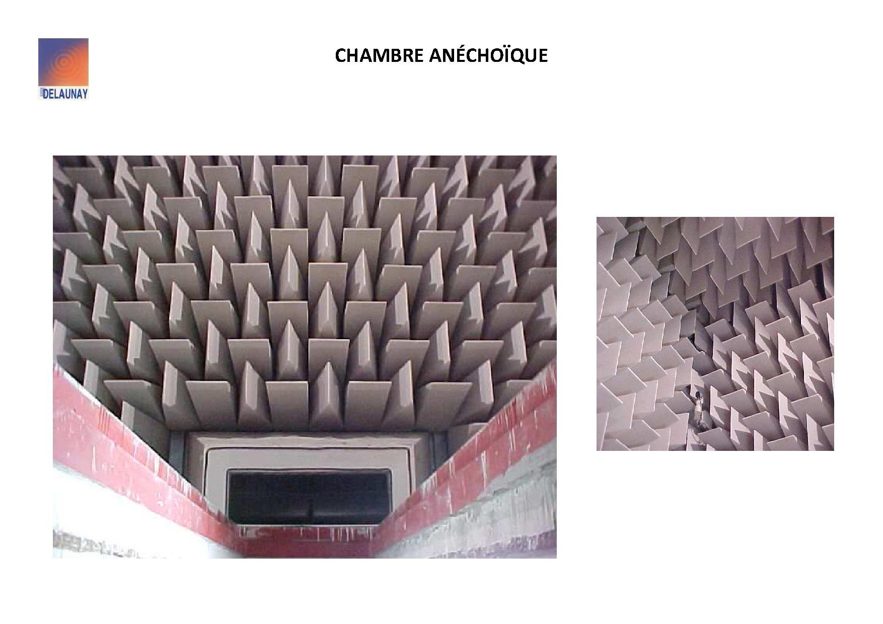 Chambre anéchoïque - delaunay sas_0