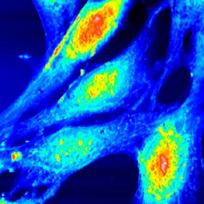 Environnements AFM - Compatibilité Nano-Observer - Contrôle environnemental, liquide et température (-35°C à 250°C)_0