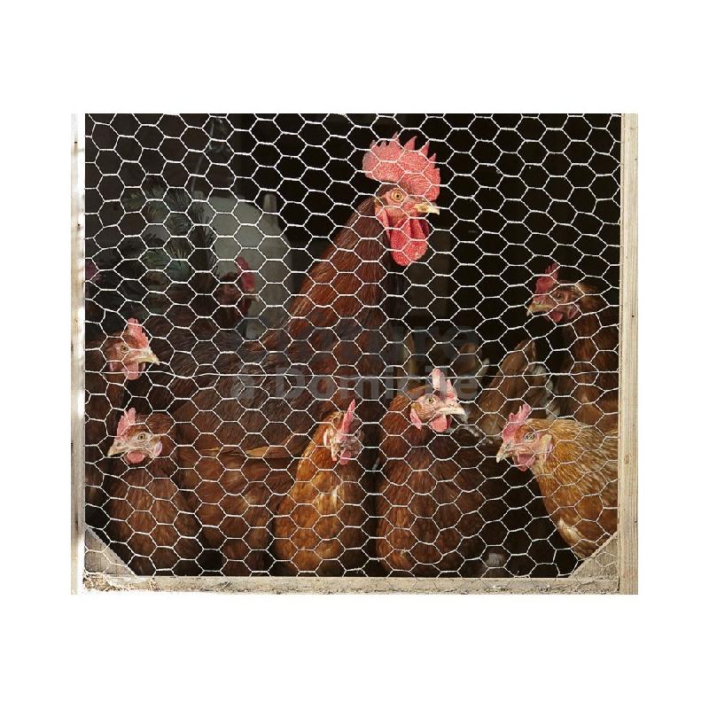 Grillage 10 m m triple torsion - poule - canard - oiseau - lapin - pigeon_0