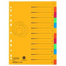 LOT DE 6 - INTERCALAIRE EN CARTON, A4 EXTRA LARGE, 12 TOUCHES