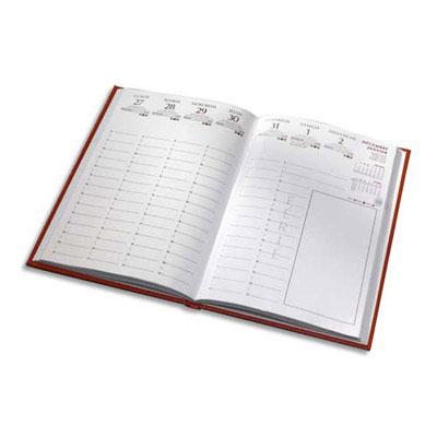 Lecas Agenda semainier MINISTRE LEZARD - 16 x 24 cm - 2024