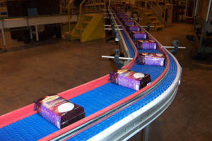Convoyeurs modulaires Cobral® - tapis Unichains SNB, QNB et Flex-SNB - fabrication française Faber_0