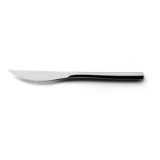 Couteau Standing Barcelona inox 18/10 - finition miroir, design moderne et tient debout sur la lame_0
