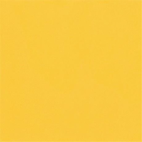 NAPPE SPUNBOND NON-TISSÉ 60 G/M² 1.20X50M JAUNE PP