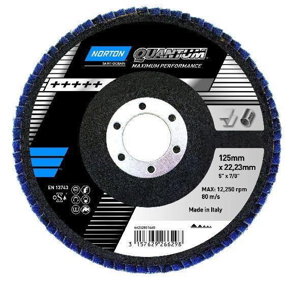 10 disques à lamelles Norton grain 80 R842 INOX//ACIER 125mm