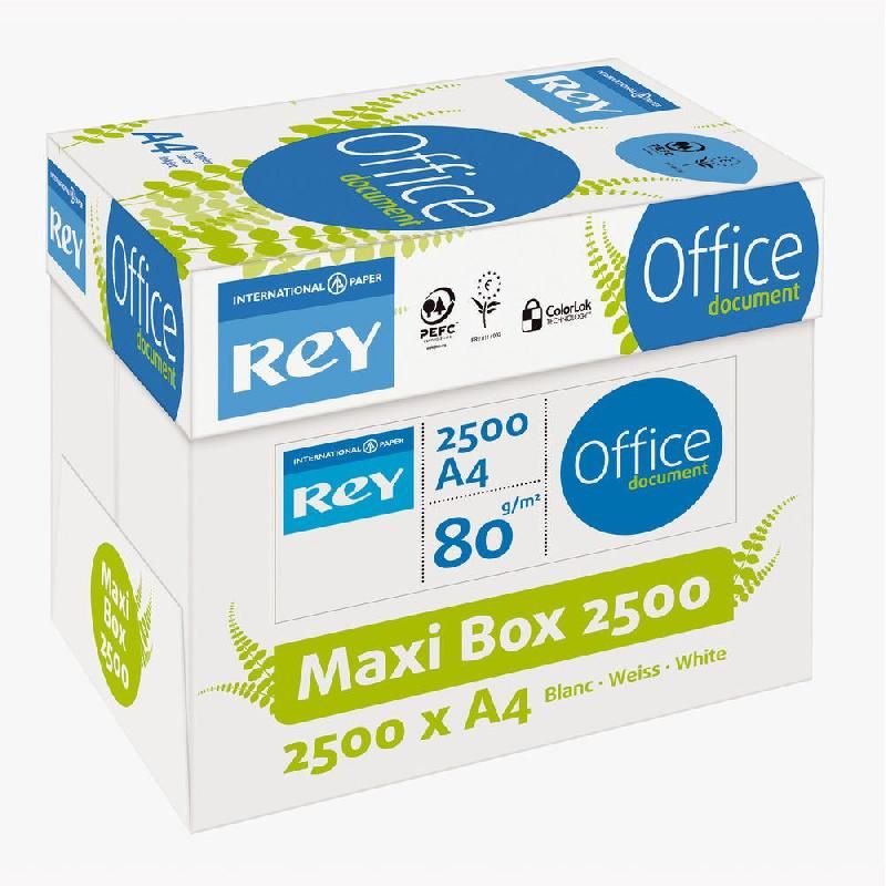 EVOLVE CARTON DE 2500 FEUILLES REY OFFICE DOCUMENT - FORMAT A4 (80G/M²) - COULEUR BLANC (CARTON DE 2500 FEUILLES)