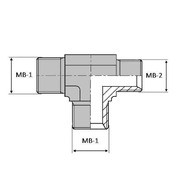 Té mâle BSP x mâle BSP x mâle BSP - 1