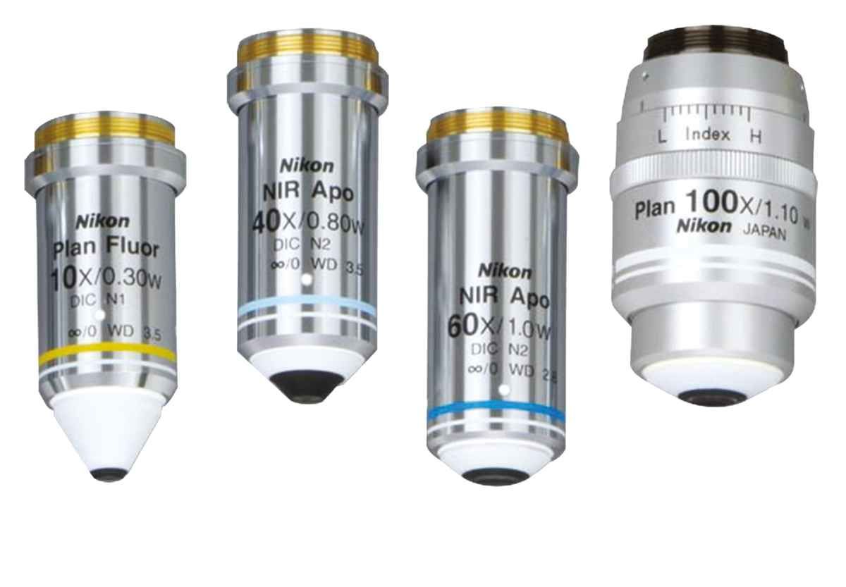 Objectifs série CFI60 - Lentilles pour imagerie IR-DIC avec correction d'aberration et immersion dans l'eau_0