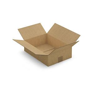 CAISSE CARTON PLATE BRUNE SIMPLE CANNELURE RAJA 35X25X10 CM