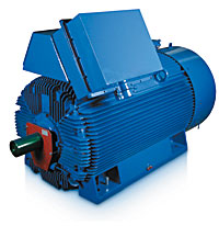 Moteurs électriques asynchrones à cage moyenne tension - IP55 - SH - Tension 6000V/50Hz - Puissance jusqu'à 4000kW_0