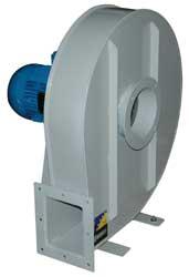 CAM-545-2T-4_0