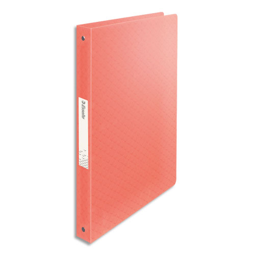 CLASSEUR ESSELTE COLOUR'ICE - POLYPROPYLENE 5/10EME - DOS 2,5 CM - 4 ANNEAUX RONDS - PECHE