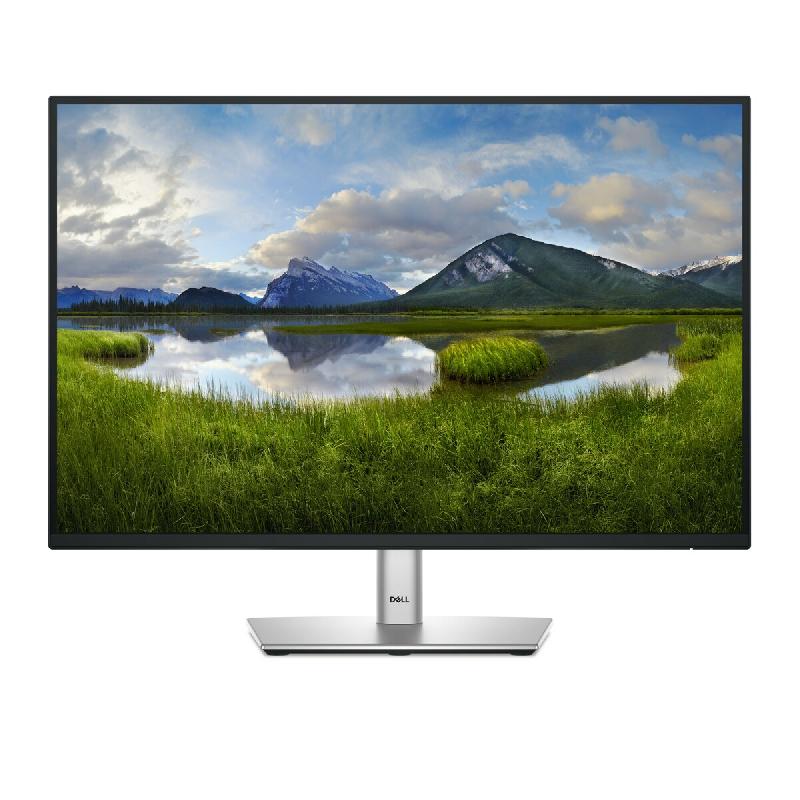 Écran PC DELL P Series P2425E, 61,1 cm (24,1