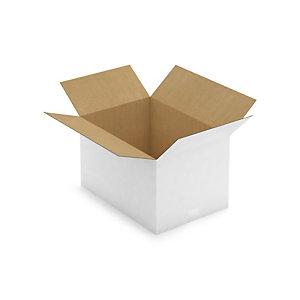CAISSE CARTON BLANCHE SIMPLE CANNELURE RAJA 50X35X30 CM