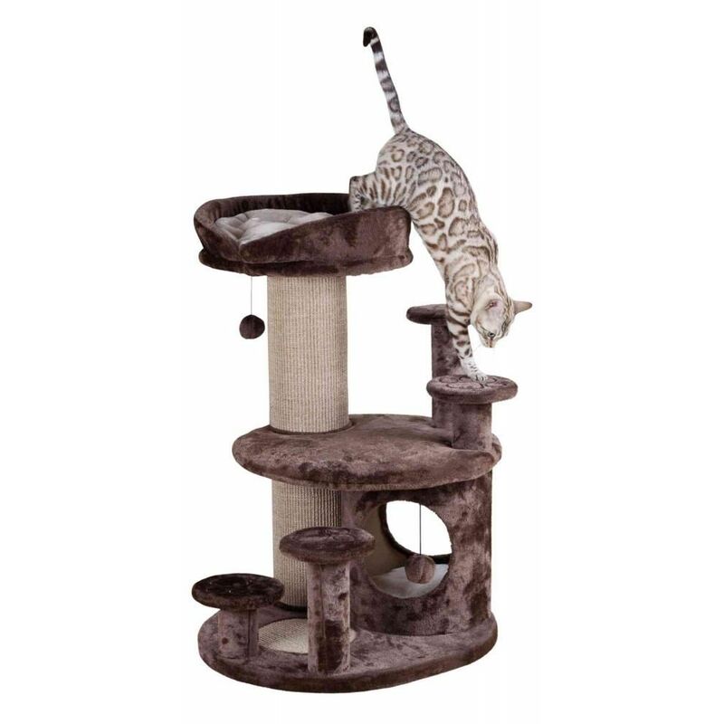 Arbre A Chat Senior Emil 96 Cm Brun Beige Naturel Comparer Les Prix De Arbre A Chat Senior Emil 96 Cm Brun Beige Naturel Sur Hellopro Fr Arbre A Chat Senior Emil 96 Cm Brun Beige Naturel Comparer Les Prix De Arbre A Chat Senior Emil 96 Cm Brun Beige Naturel Sur Hellopro Fr