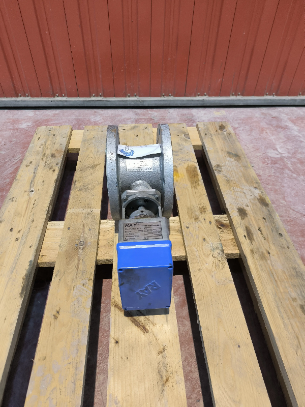 Vanne papillon ray typ r6_0