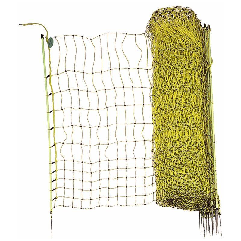 CHEMIN DES POULAILLERS - FILET POULE SIMPLE POINTE JAUNE