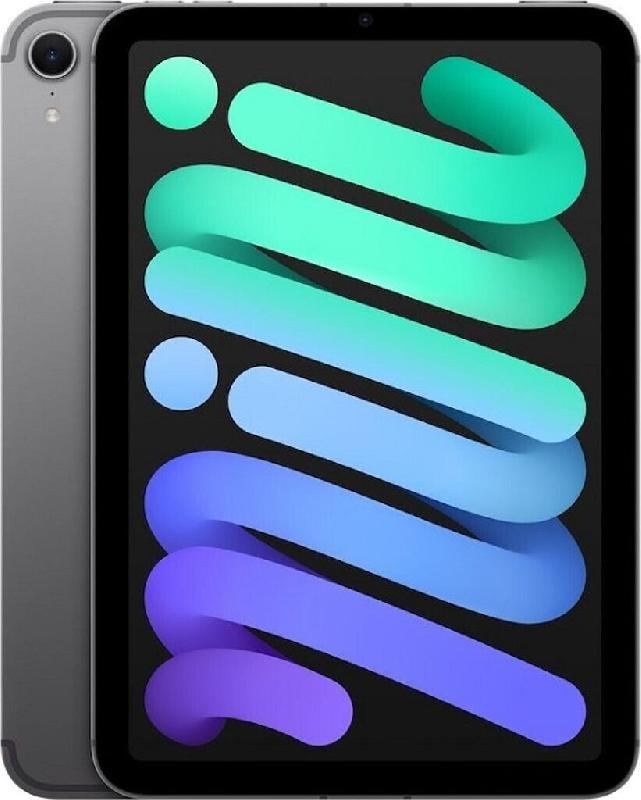 IPad Mini 8,3 256Go Wifi (2024) - Gris sidéral_0