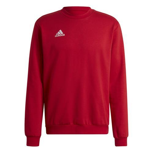 SWEAT - ADIDAS - ENTRADA 22 ROUGE