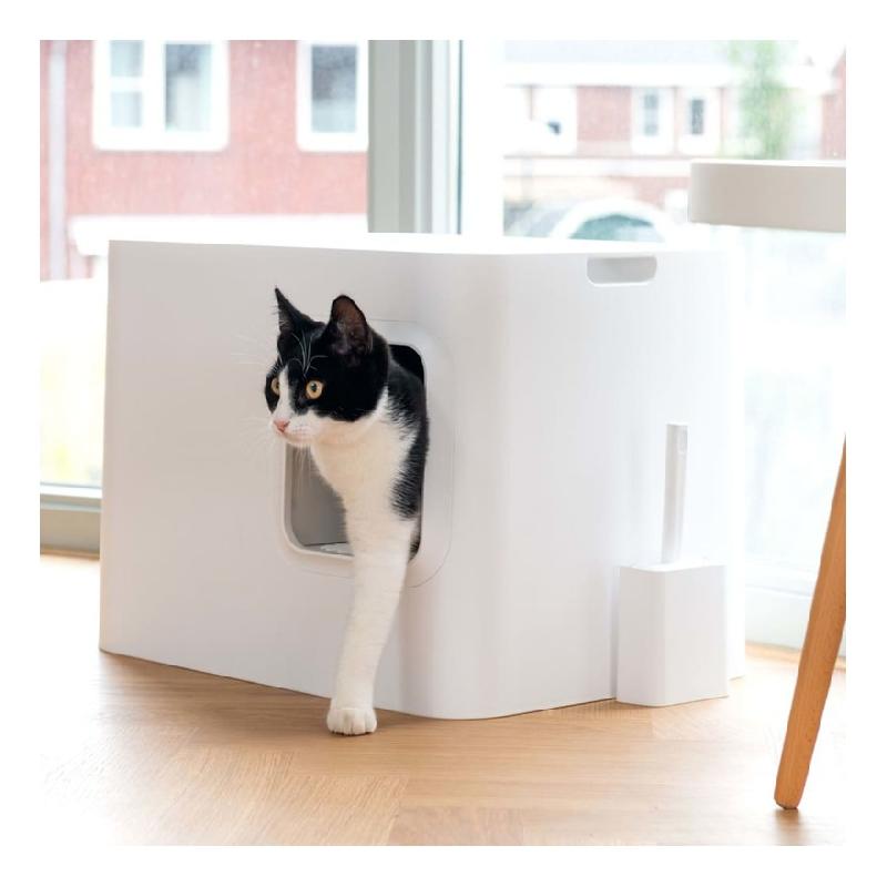 Bac A Litiere Bella Pour Chat Blanc Rotho Mypet Comparer Les Prix De Bac A Litiere Bella Pour Chat Blanc Rotho Mypet Sur Hellopro Fr