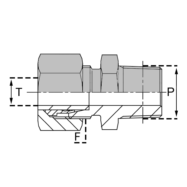 Raccords à bague Mâle NPT (Briggs) - LLUMNPTE0402 - UMNPT 04LL/1/8 EQ_0