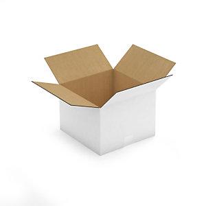 CAISSE CARTON BLANCHE DOUBLE CANNELURE RAJA 33,5X33,5X24 CM