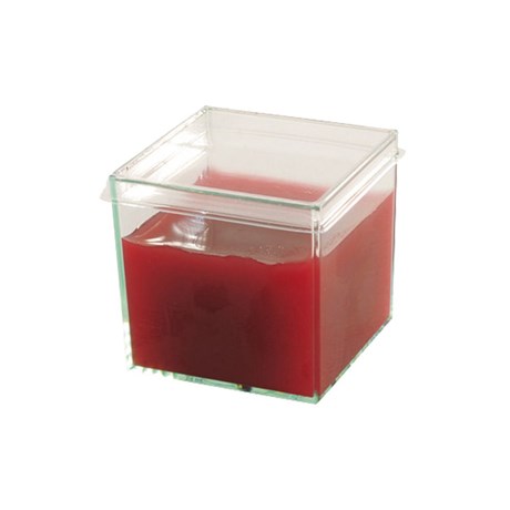 MISE EN BOUCHE JETABLE SOLIA CUB TRANSPARENT 70 ML (VENDU PAR 200)