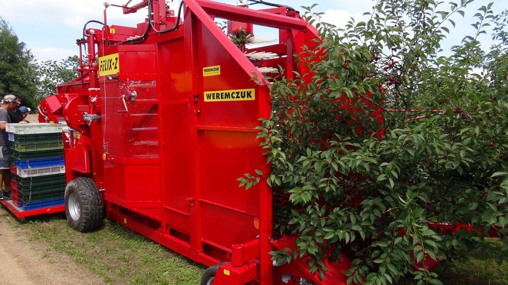Récolteuse de cerises et prunes FELIX Z - Weremczuk - 80 HP min - Vitesse 0,5 à 1 km/h - Plateforme 1500 kg_1