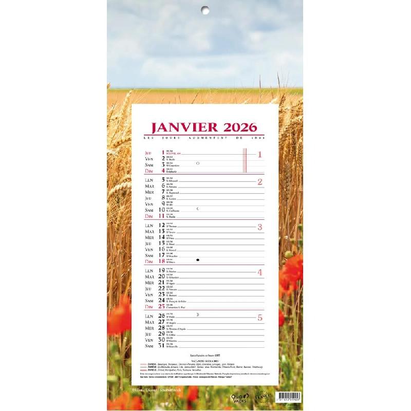 Quo Vadis - Bloc mensuel - 2026 - Français - Multicolore motif blé - 12 mois de janvier à décembre - 16x33,5 cm - Papier Clairefontaine blanc - 23_0