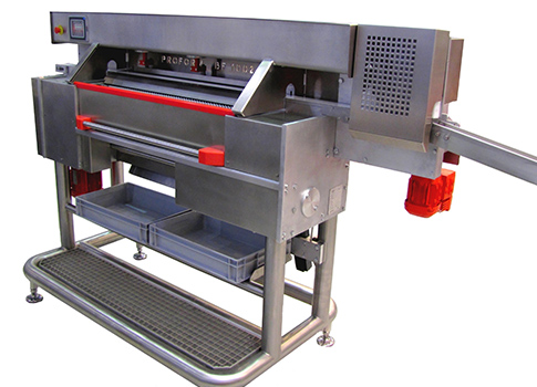 Machine pour confiserie - Ligne de production de billes pilulier - Pour chewing-gum, caramel, pâte à mâcher_0