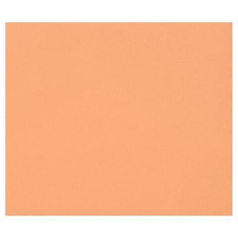 TULIPE RAME 25F 50X65CM 160G - ROUILLE