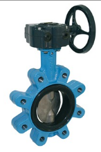 Vanne papillon AMRI taraudée avec manchette EPDM - Fonte GS - Modèle à démultiplicateur - KSB - P.0037_0