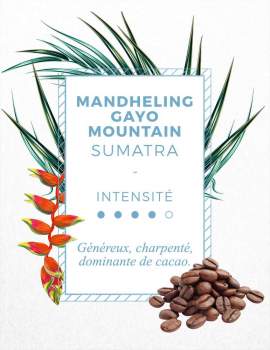 Café en grain Grand Cru Sumatra - Pure Origine - Torréfié artisanalement en France_0