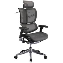 CLP Fauteuil de bureau ergonomique Norfolk avec Dossier et Appuie-tête ajustables Gris - gris plastique 317812_0