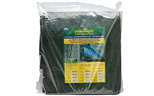 PIANTALLEGRA - Bâche multi-usages imperméable 100 g - Dimensions 4 x 4 m - Couleur vert et bleu_0