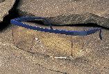 Lunette de chantier Nassau Plus - protection monobloc avec branches réglables et revêtement anti-buée_0