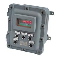 Indicateur de pesage W200 en coffret antidéflagrant certifié ATEX - Référence : ADPE-W200 - Zone ATEX 0-1-2 gaz et 20-21-22 poussières_0
