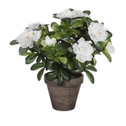 Mica Decorations Azalée Artificielle Blanche En Pot Gris Ø11,5X27Cm - 8712799859197_0