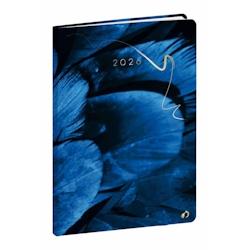 QUO VADIS ministre fr hipsy plume - 0151082q_0