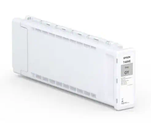 Epson UltraChrome PRO6 cartouche d'encre 1 pièce(s) Gris_0